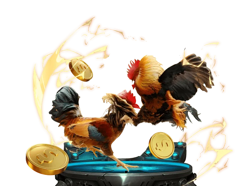 Đá gà Thomo tại WINVIP LINK