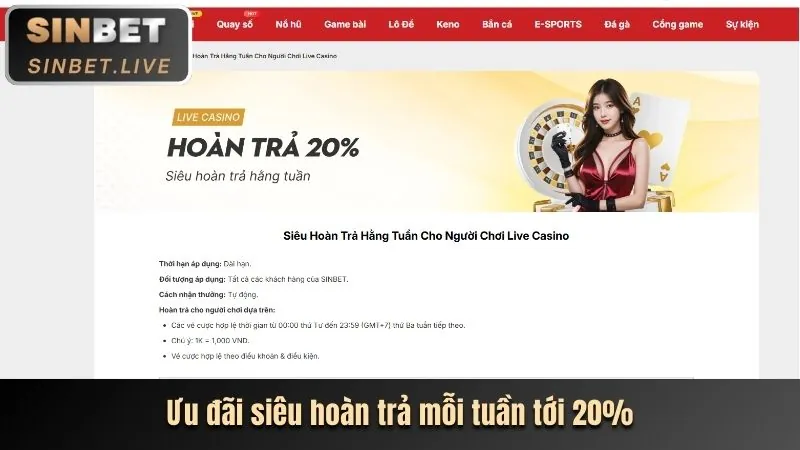 Chương trình VIP độc quyền tại 6623 Casino
